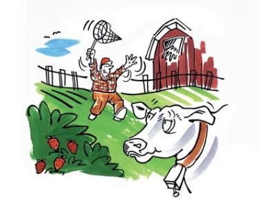 Farmercise Image